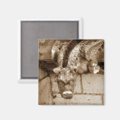 ガーゴイル マグネット (正面/裏面)