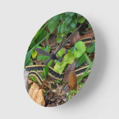 ガータースネークワイルドライフウォールクロック ラウンド壁時計 (傾斜)