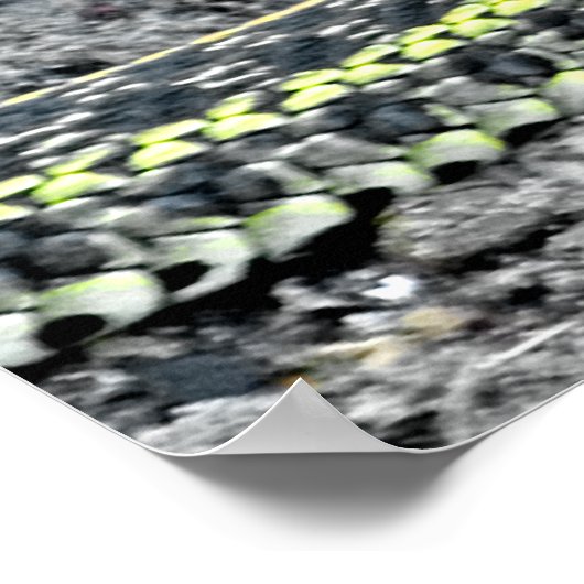 ガーターヘビ ポスター (角)