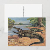 ガーター・ビーチのポストカード ポストカード (正面/裏面)