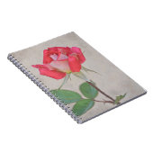 ガーティの庭からピンクのバラのつぼみアート ノートブック (右側)