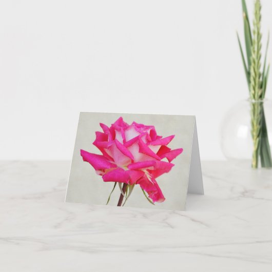 ガーティ独身ののガーデンノートカードからピンクローズ カード (正面)