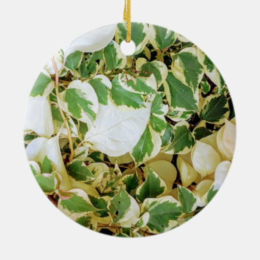 ガーデエレガントン素朴 セラミックオーナメント (裏面)