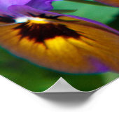 ガーデナーズプー魅力的スト引用文明るいパンジー ポスター (角)