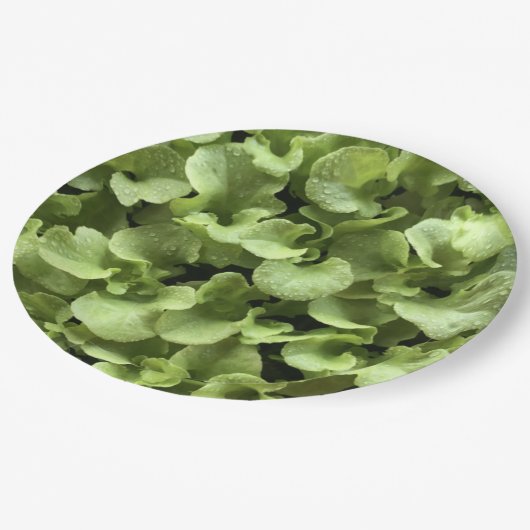 ガーデナ離れー自然の食べ物の恋人のためのサラダパーティー ペーパープレート (アングル)