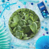 ガーデナ離れー自然の食べ物の恋人のためのサラダパーティー ペーパープレート (パーティー)