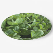 ガーデナ離れー自然の食べ物の恋人のためのサラダパーティー ペーパープレート (アングル)