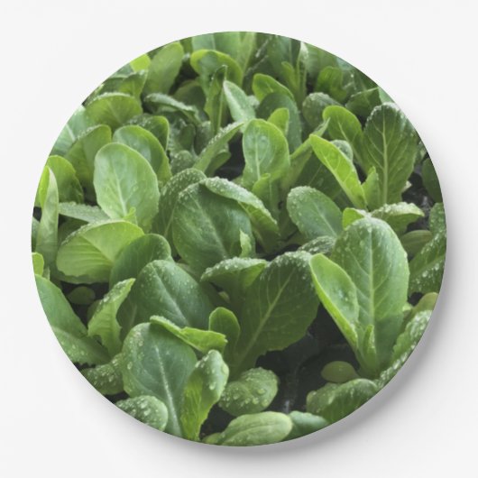 ガーデナ離れー自然の食べ物の恋人のためのサラダパーティー ペーパープレート (正面)