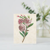 ガーデニアヴィンテージ植物学 ポストカード (スタンド正面)