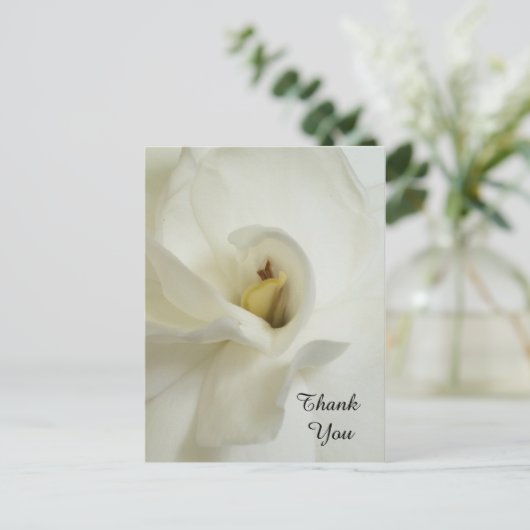 ガーデニア悔やみや弔慰サンキューハガキ ポストカード (スタンド正面)