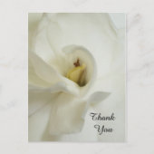 ガーデニア悔やみや弔慰サンキューハガキ ポストカード (正面)