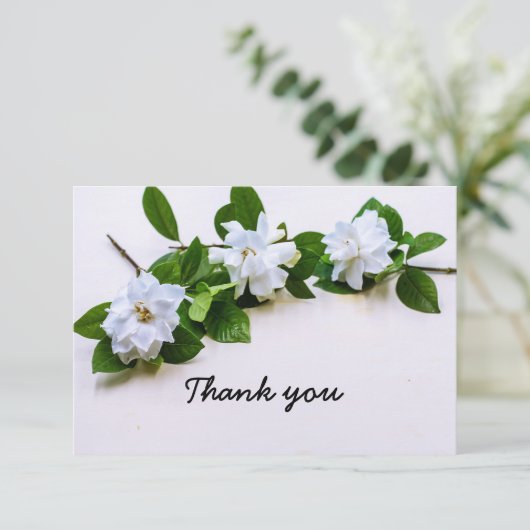 ガーデニア花悔やみや弔慰サンキューフラットカード サンキューカード (スタンド正面)