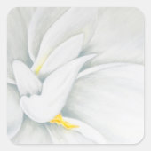 ガーデニア スクエアシール (正面)