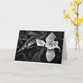 ガーデニア – ノワール、カード カード (黄色い花)