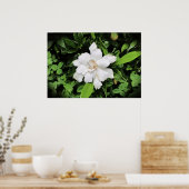 ガーデニア ポスター (キッチン)