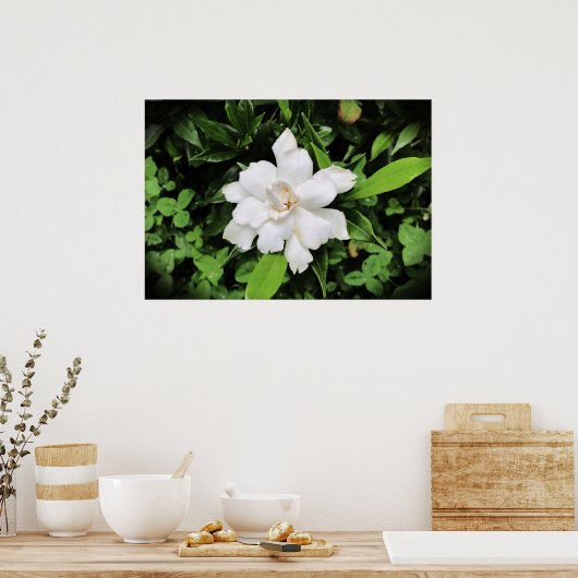 ガーデニア ポスター (キッチン)