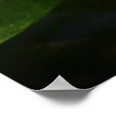 ガーデニア ポスター (角)