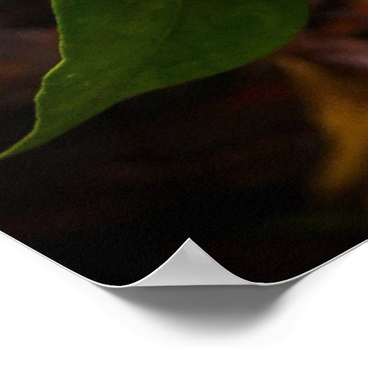 ガーデニア ポスター (角)