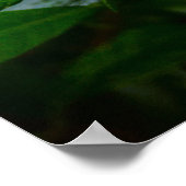 ガーデニア ポスター (角)