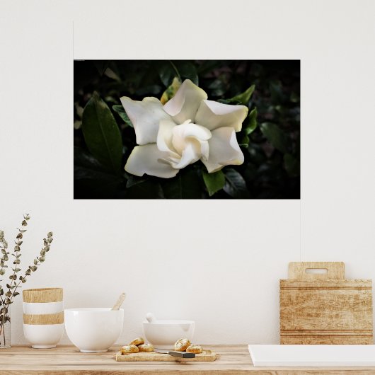 ガーデニア ポスター (キッチン)