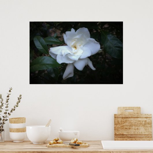 ガーデニア ポスター (キッチン)