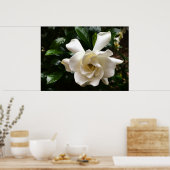 ガーデニア ポスター (キッチン)