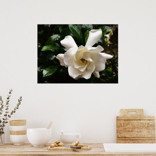 ガーデニア ポスター (キッチン)