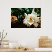 ガーデニア ポスター (キッチン)