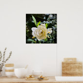 ガーデニア ポスター (キッチン)