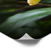 ガーデニア ポスター (角)