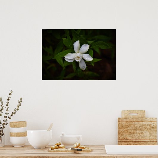 ガーデニア ポスター (キッチン)