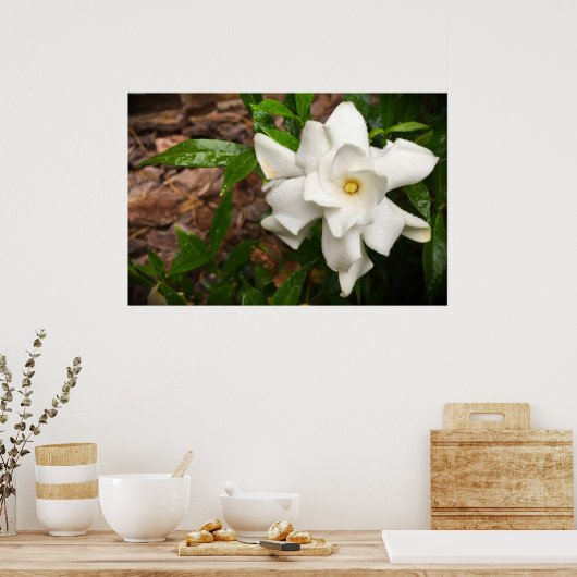 ガーデニア ポスター (キッチン)