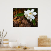 ガーデニア ポスター (キッチン)