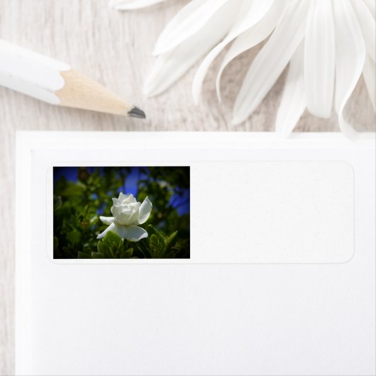 ガーデニア ラベル (インサイチュ)