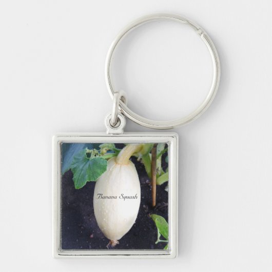 ガーデニングバナナスカッシュ キーホルダー (正面)
