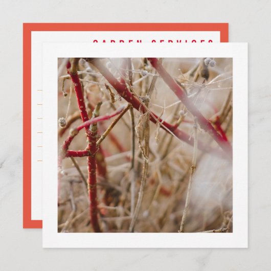 ガーデニングビジネスカードワイルドバラ 招待状 (正面/裏面)