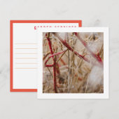 ガーデニング名刺 ワイルドローズ 招待状 (正面/裏面)