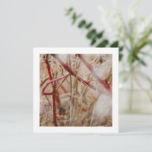 ガーデニング名刺 ワイルドローズ 招待状 (スタンド正面)