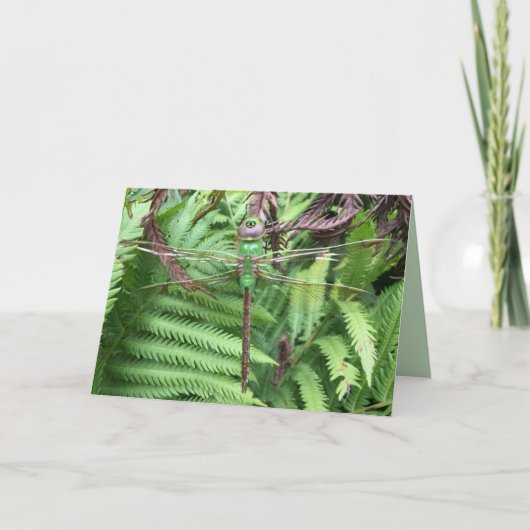 ガーデンかわいらしフォトグリーティングカードのトンボ カード (正面)