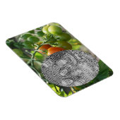 ガーデンさくらんぼトマトあなたの写真を追加 マグネット (右側)