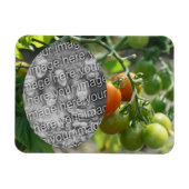 ガーデンさくらんぼトマトあなたの写真を追加 マグネット (横)