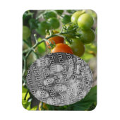 ガーデンさくらんぼトマトあなたの写真を追加 マグネット (縦)