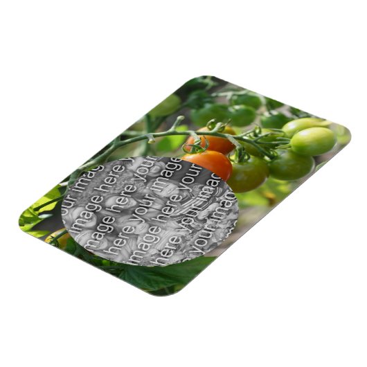 ガーデンさくらんぼトマトあなたの写真を追加 マグネット (左側)