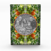 ガーデンさくらんぼトマトのフレーム自分のフレームを追加 フォトブロック (正面)