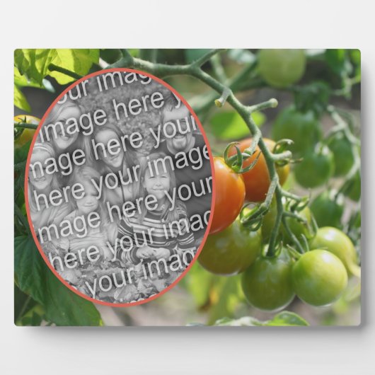ガーデンさくらんぼトマト自分の写真を追加 フォトプラーク (正面)