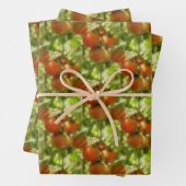 ガーデンさくらんぼトマト自然パターン ラッピングペーパーシート (インサイチュ)