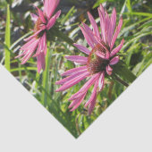 ガーデンの中のルビージャイアントエキナセア 薄葉紙 (詳細)