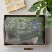 ガーデンの可愛らしい子猫 薄葉紙 (ギフト)