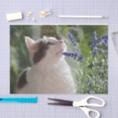 ガーデンの可愛らしい子猫 薄葉紙 (クラフト)