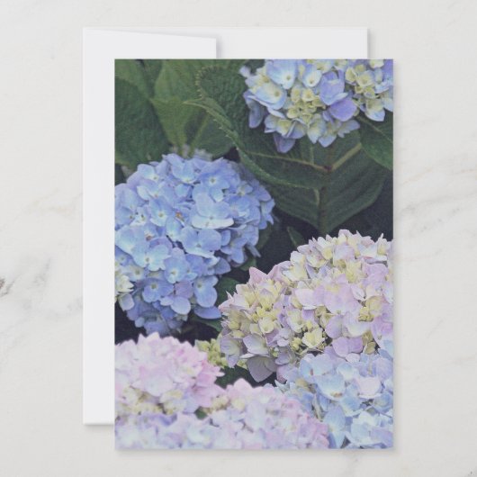 ガーデンアジサイのライトウェディング招待の文字列 招待状 (裏面)